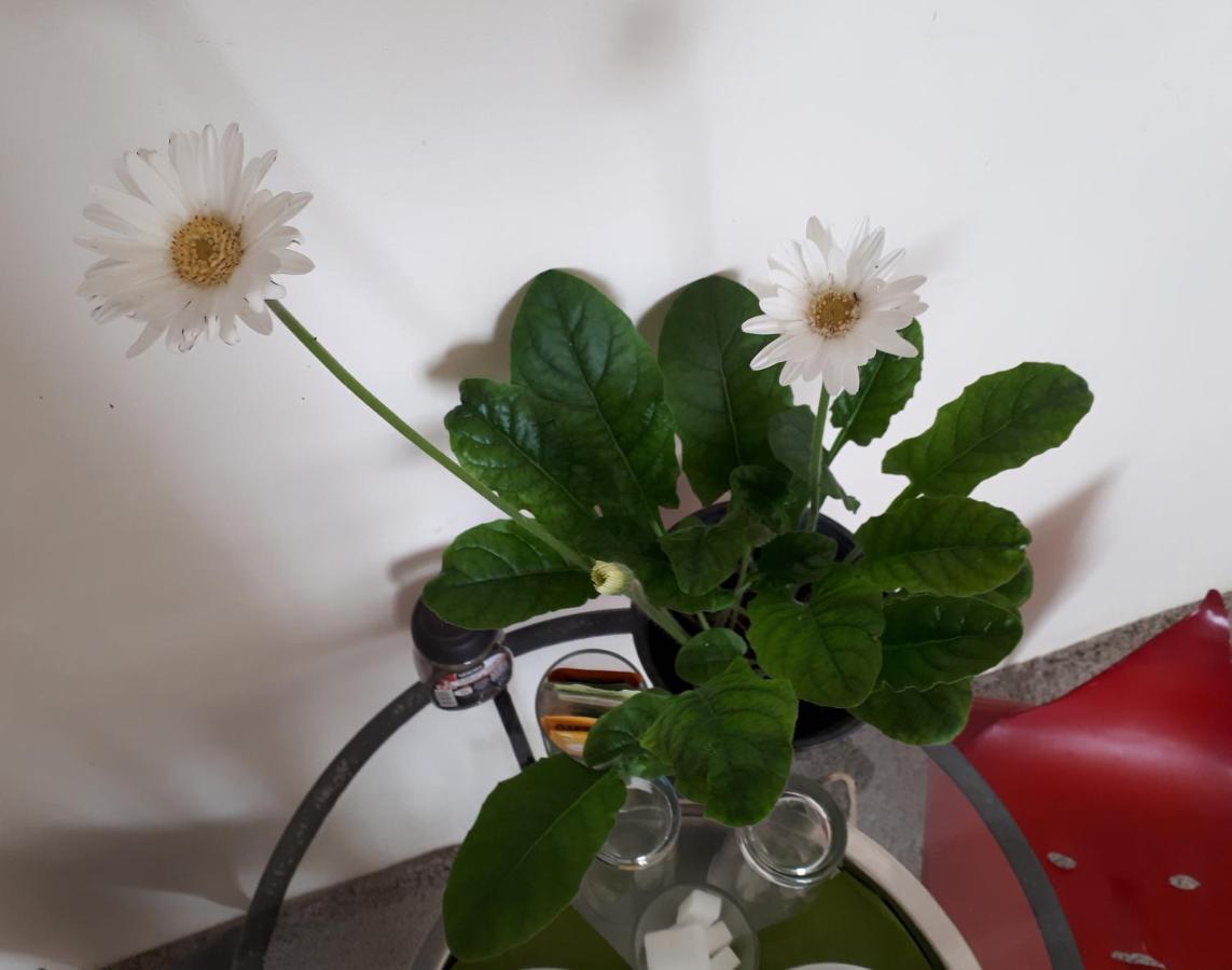 Bed and Breakfast O Anges Арль Экстерьер фото