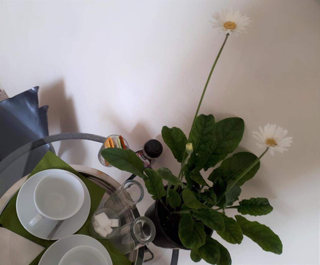 Bed and Breakfast O Anges Арль Экстерьер фото